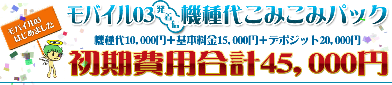 モバイルIPはじめました